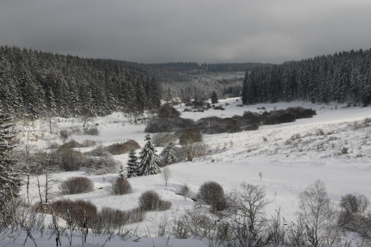 Le Nid Des Mesanges Villa Бюланж Екстериор снимка