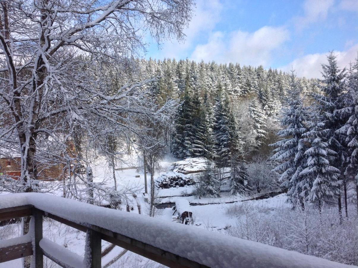 Le Nid Des Mesanges Villa Бюланж Екстериор снимка