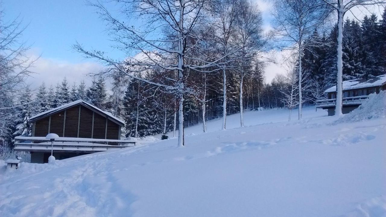 Le Nid Des Mesanges Villa Бюланж Екстериор снимка